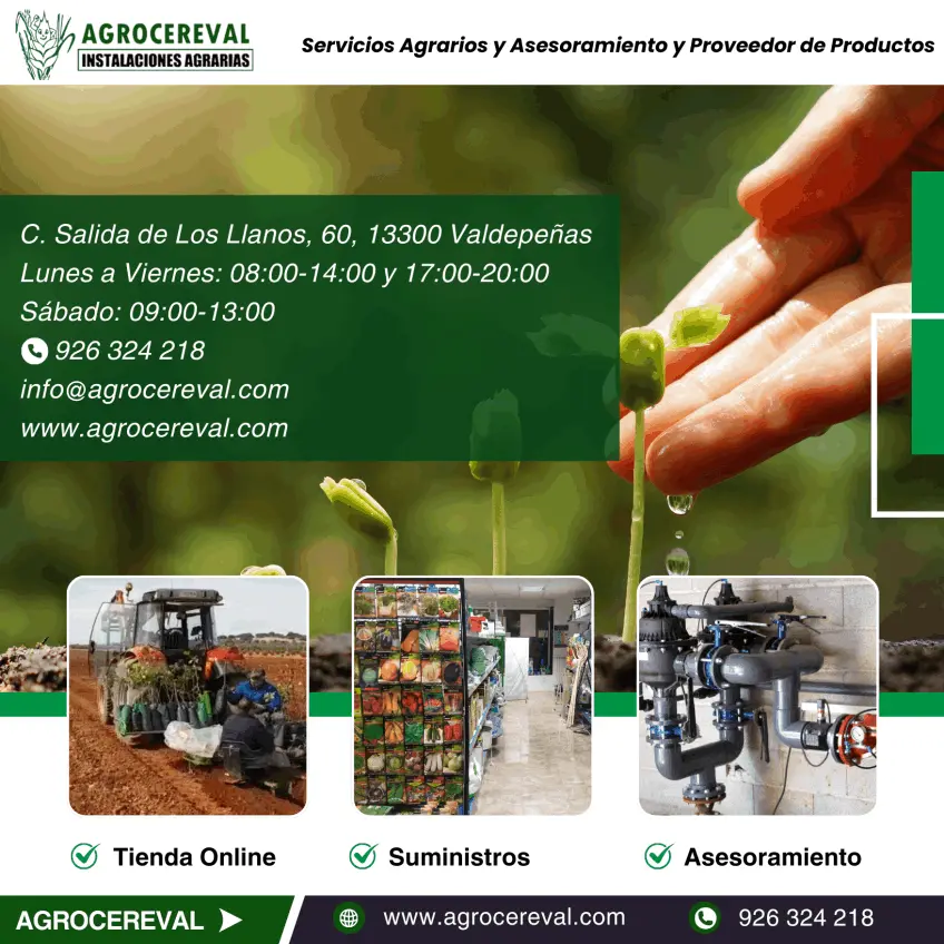 Agrocereval, Servicios Agrarios - Valdepeñas