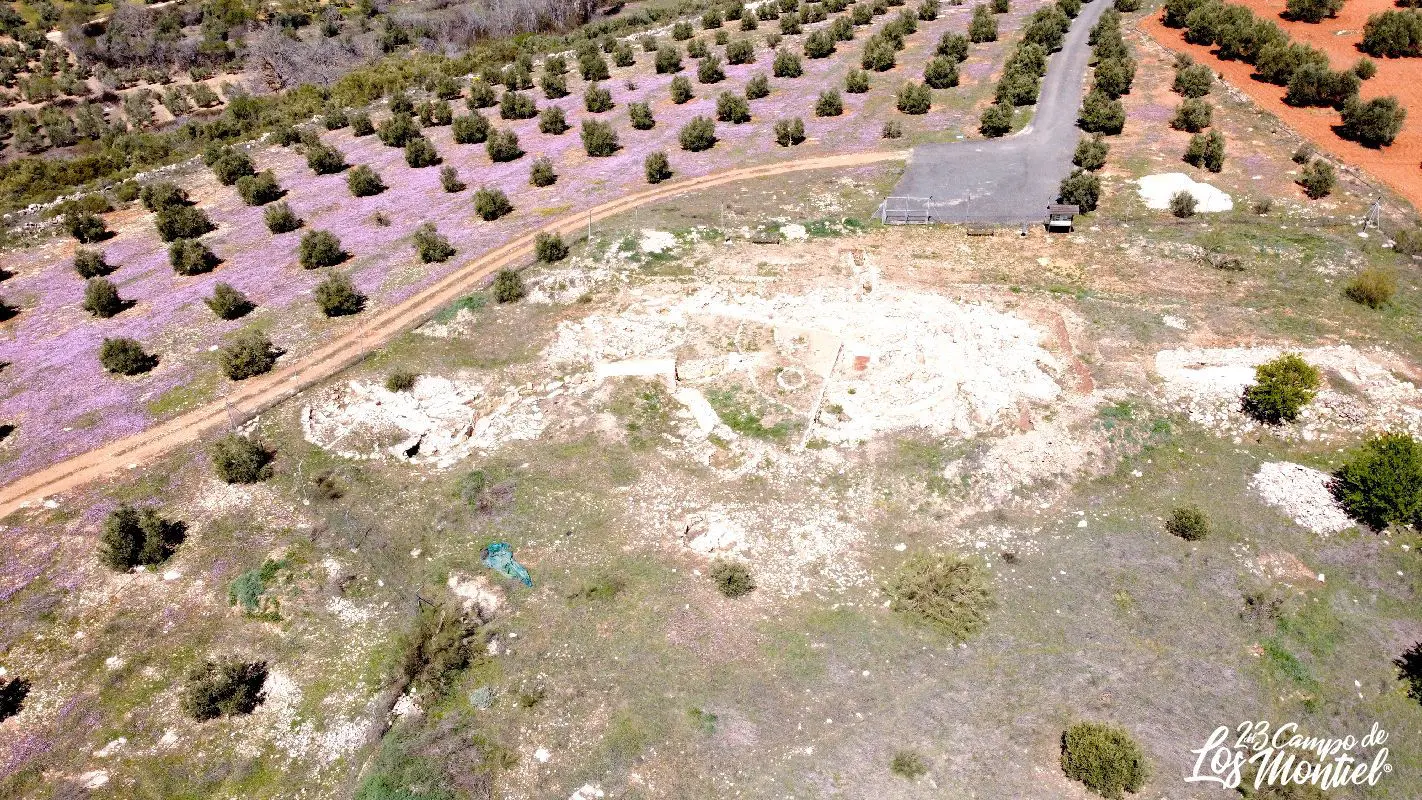 Castillejo del Bonete, Terrinches