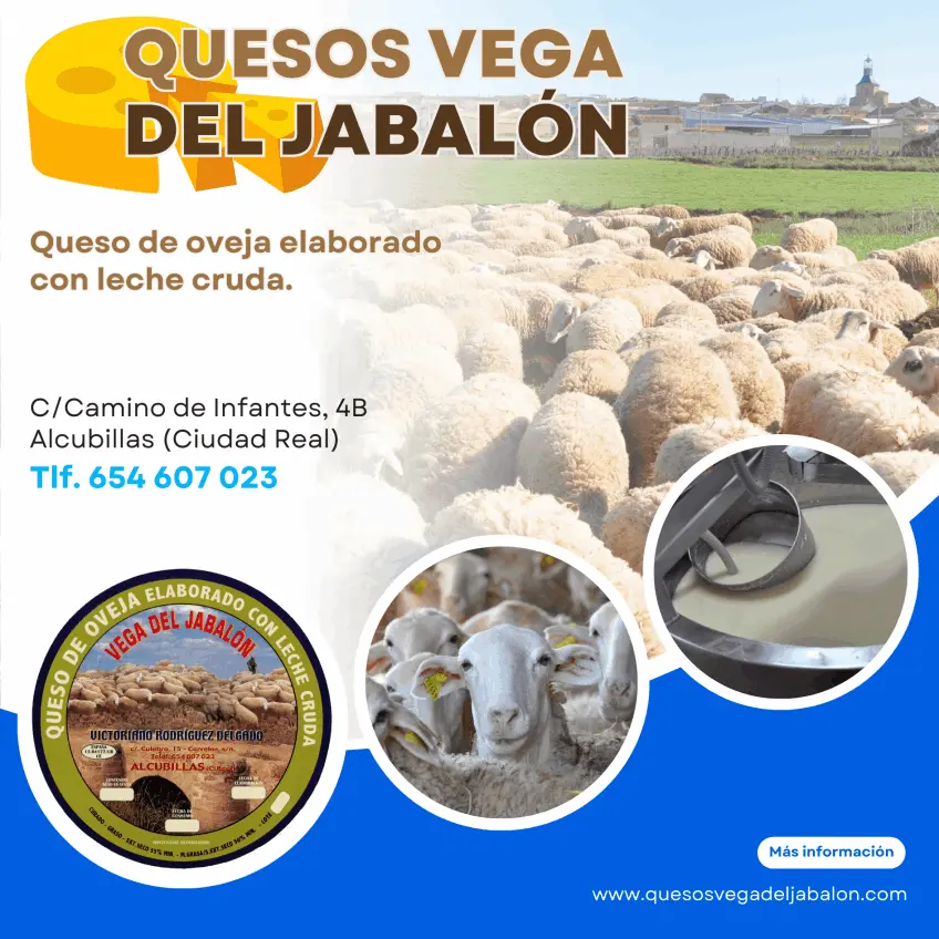 Quesos Vega del Jabalón - Alcubillas