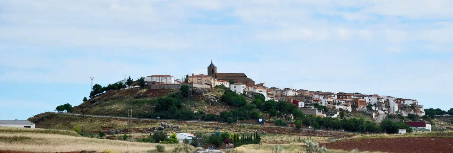 Vistas de Almedina